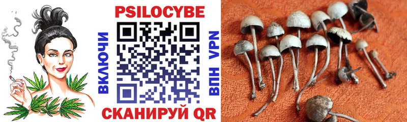 Галлюциногенные грибы ЛСД  Холмск 